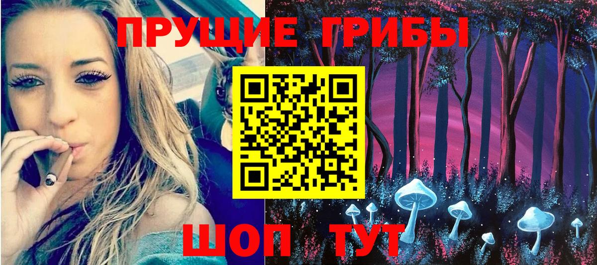 Галлюциногенные грибы Psilocybine cubensis Саров