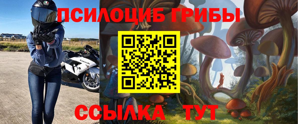 Псилоцибиновые грибы ЛСД  Вход с VPN  Псилоцибиновые грибы Cubensis  Саров 