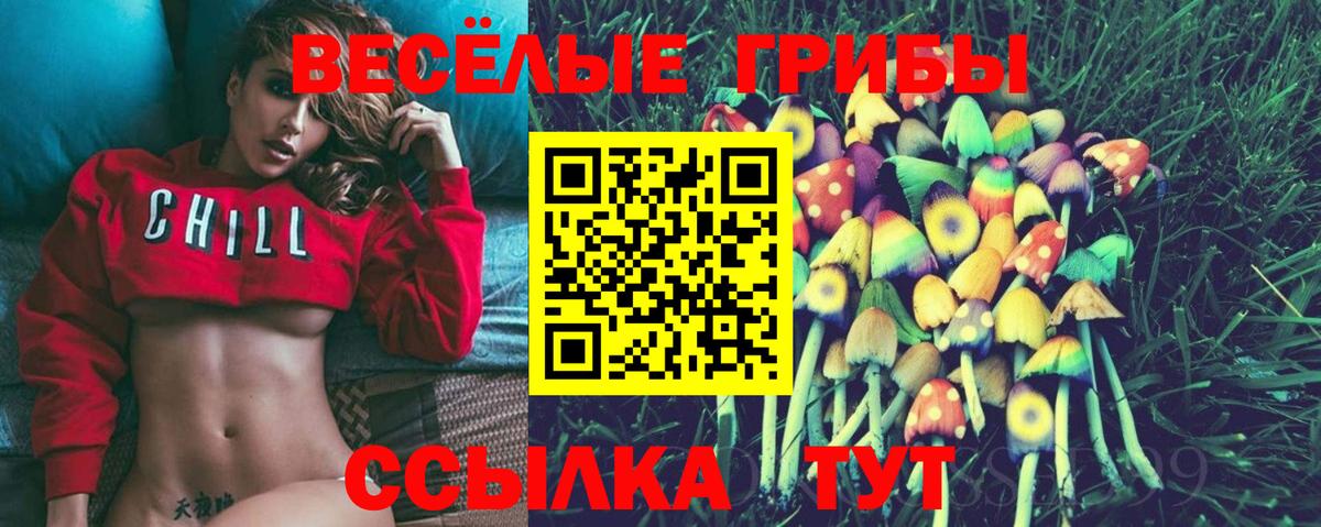 Саров  Вход с VPN  Конопля  Cocaine  Меф МЯУ МЯУ   ГАШИШ 
